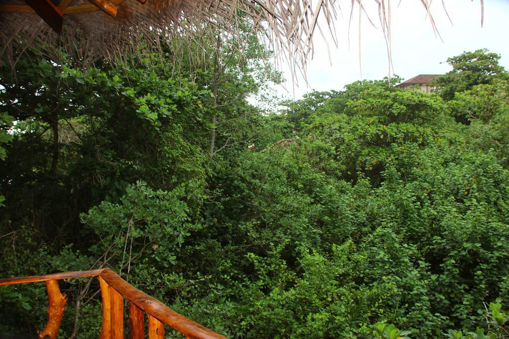 Seasons Four Mini Jungle Cabana Matara Exterior photo