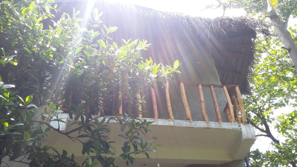 Seasons Four Mini Jungle Cabana Matara Exterior photo